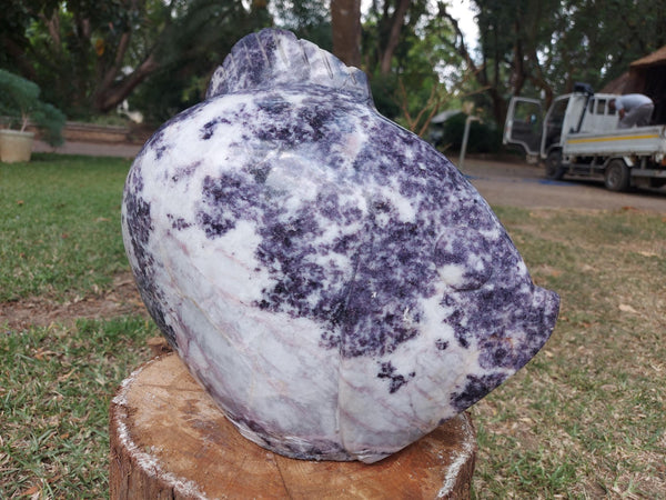 shona kunst zimbabwe vis