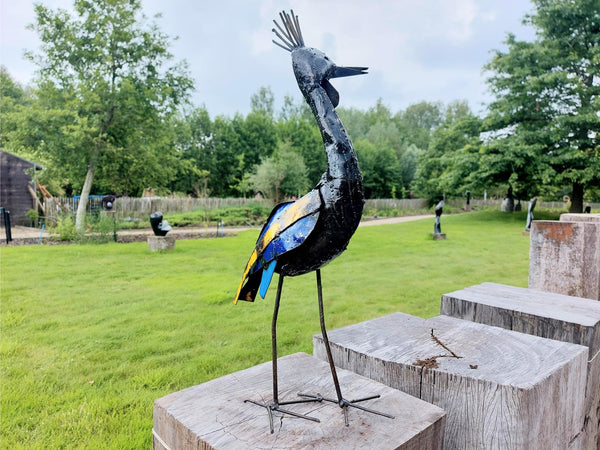 Kroonkraanvogel Kraanvogel