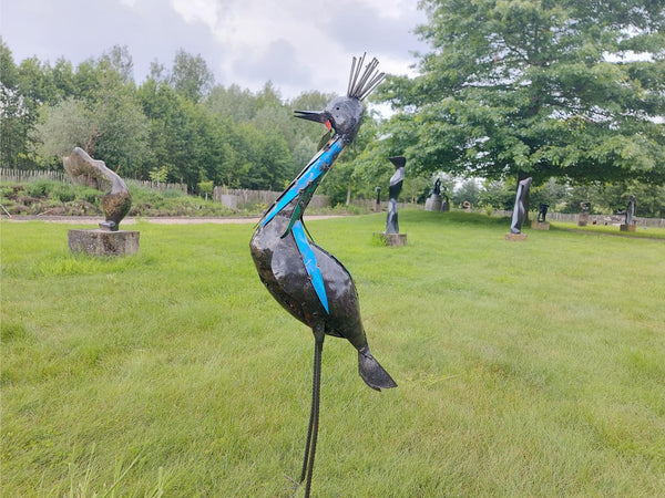 Kroonkraanvogel Kraanvogel