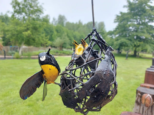 zimbabwe vogels