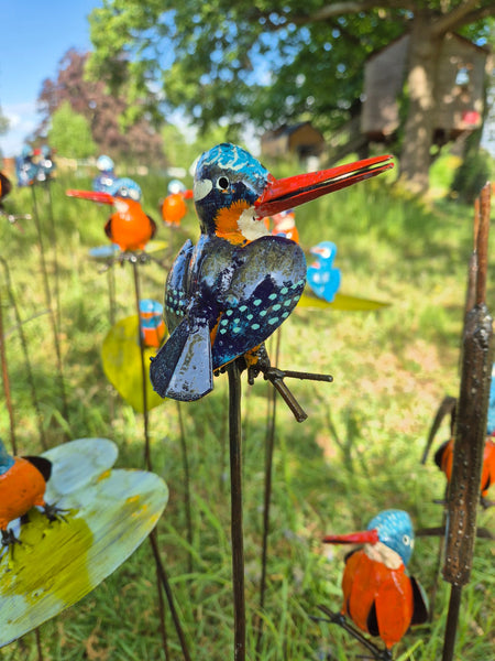 tuinsteker met ijsvogel, tuinprikker, kleurrijke vogel, birds of zimbabwe, tuinbeelden, unieke vogels, metaalkunst, beeldentuin wereldbeeld