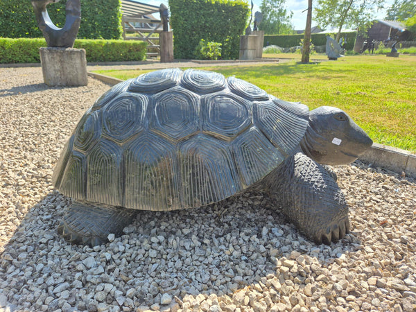 tuinbeeld schildpad, reuzeschildpad, stenen beeld, blikvanger tuin, uniek beeld, comfort andrea