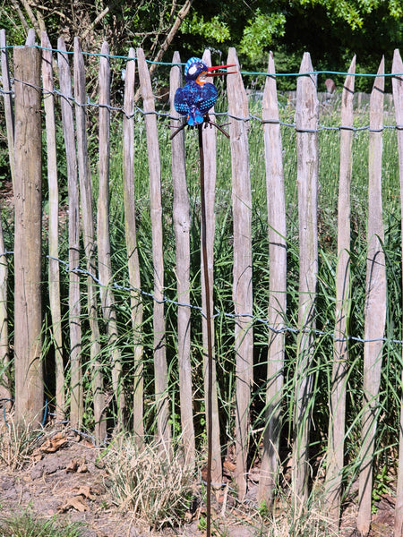 Ijsvogel, tuinprikker