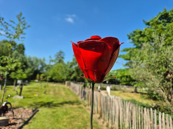 set van 3 bloemen, rode rozen