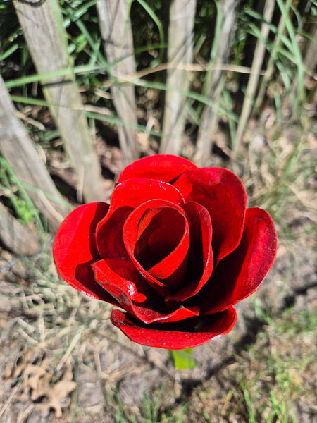 set van 3 bloemen, rode rozen