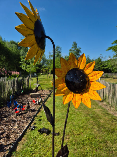 set van 3 bloemen, zonnebloemen