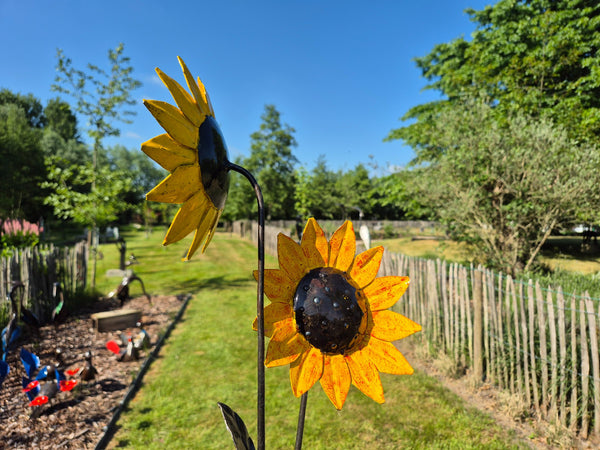 set van 3 bloemen, zonnebloemen