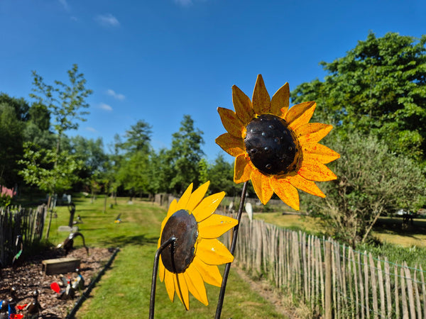 set van 3 bloemen, zonnebloemen