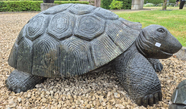 tuinbeeld schildpad, reuzeschildpad, stenen beeld, blikvanger tuin, uniek beeld, comfort andrea