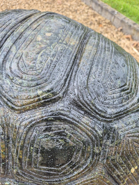 Tuinbeeld : reuzenschildpad