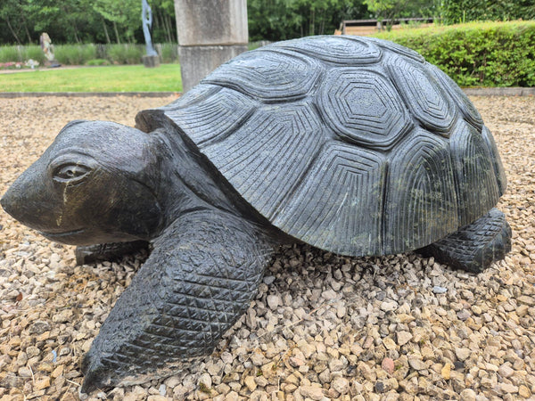 Tuinbeeld : reuzenschildpad