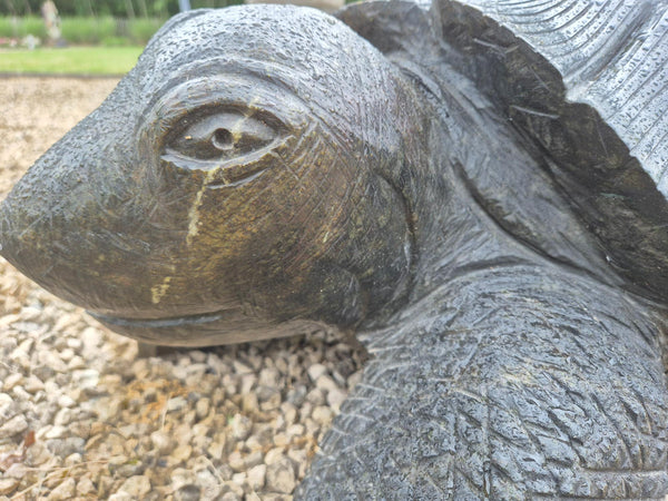 Tuinbeeld : reuzenschildpad