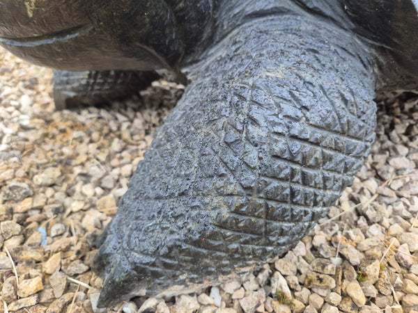 Tuinbeeld : reuzenschildpad