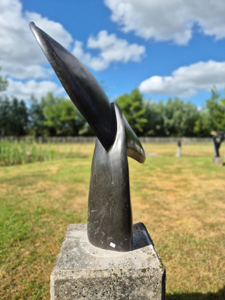 walvisstaart in steen, beeldhouwwerk natuursteen, tuinbeeld, abstracte vormgeving, shona kunst zimbabwe