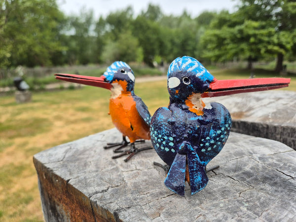 Ijsvogel, gekleurd