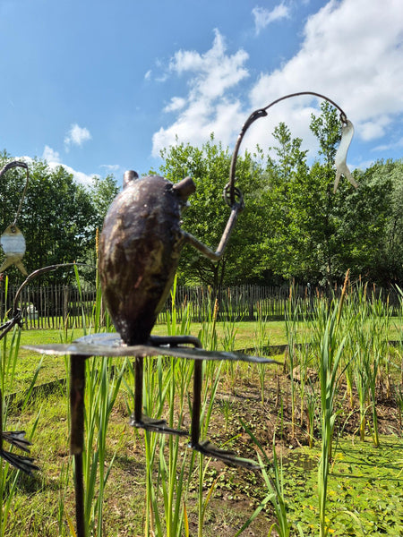 tuinbeelden wereldbeeld Hamme