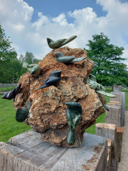 leuk beeld, verschillende vogeltjes op een rots