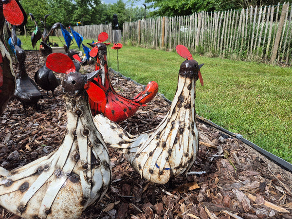 chicken in metal, red and white metal chickens, yard art, garden art, colourful chickens