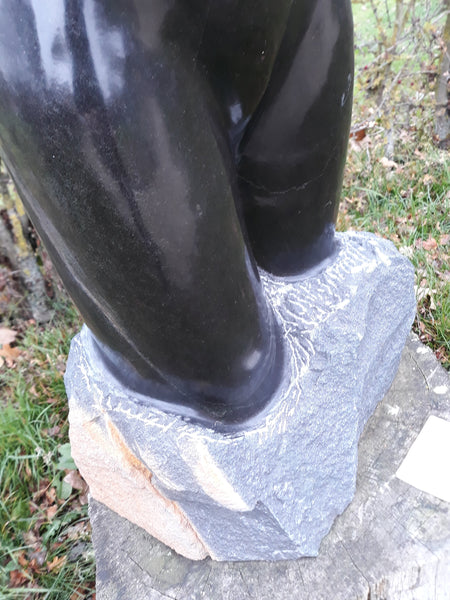 1236 basis beeld torso