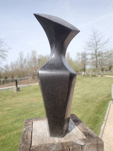achterkant beeld