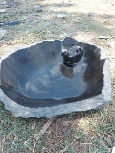 hippo pool, hippo bath, vogelbad in steen