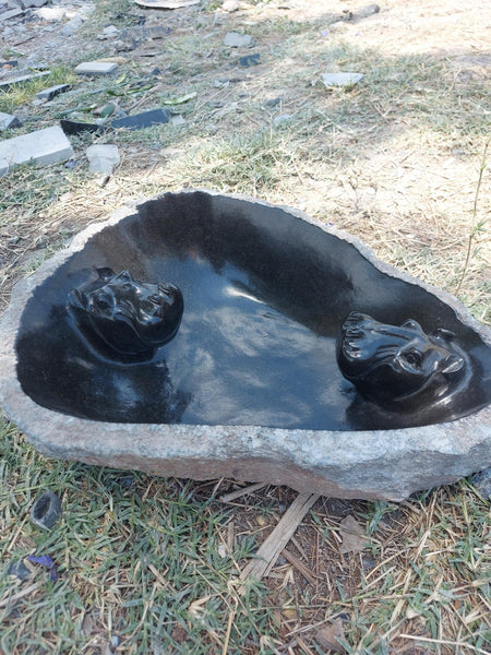 vogel bad met nijlpaarden in, drinkwaterbak in steen