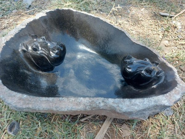 vogel bad met nijlpaarden in, drinkwaterbak in steen