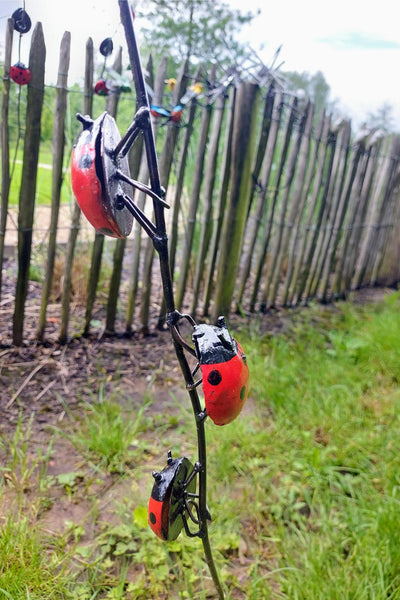 3 lieveheersbeestjes op tuinprikker