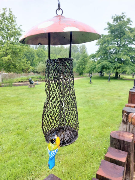 vogel voer bakje in de vorm van een paddestoel met een vogeltje aan bevestigd