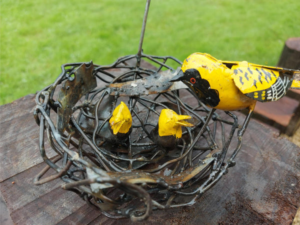 Rond vogelnest met 2 jong