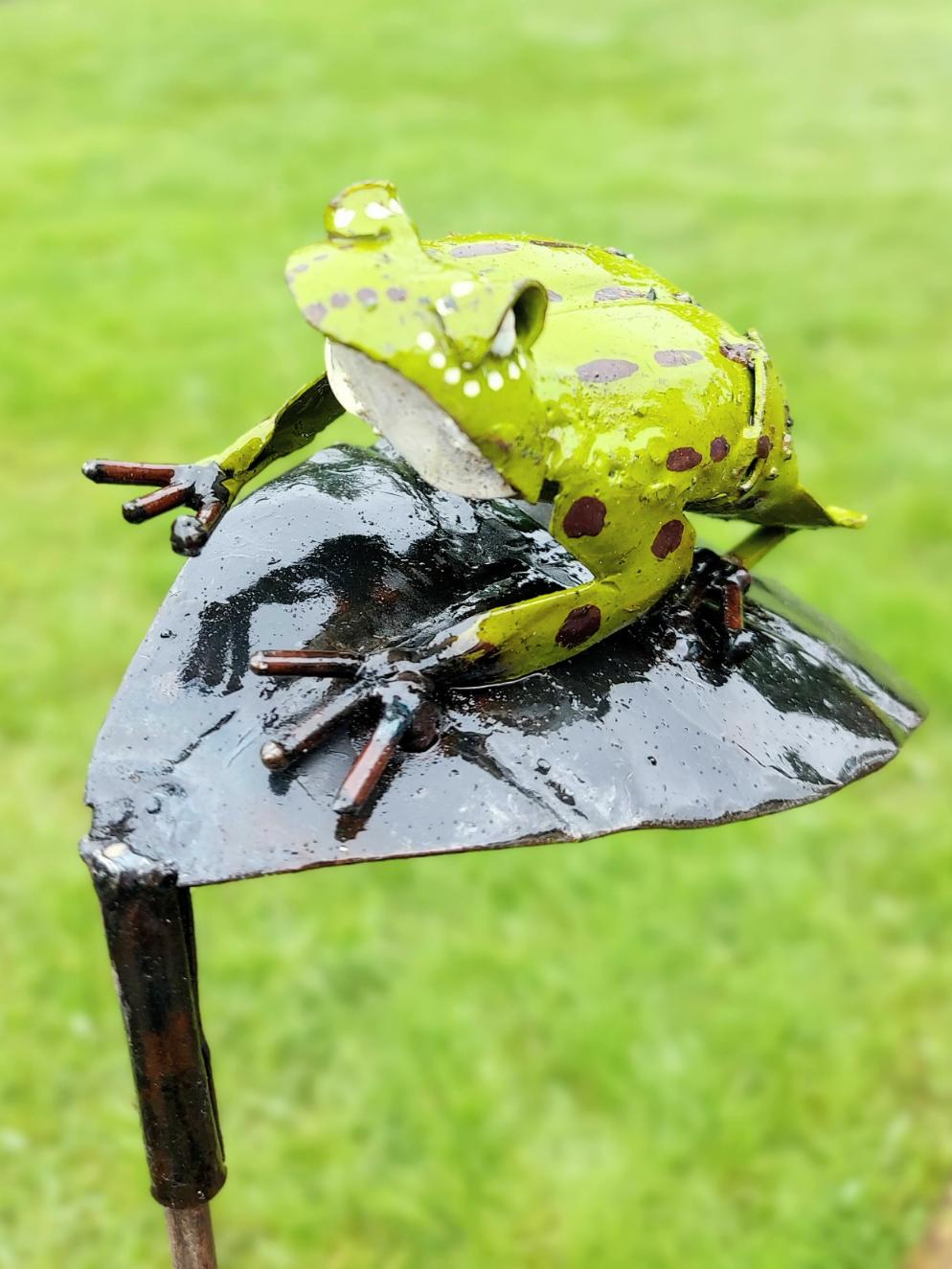 tuinprikker kikker die op blad zit