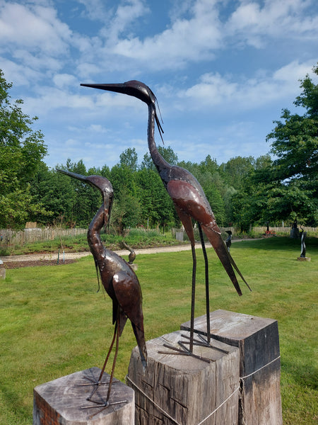 Kleine reiger