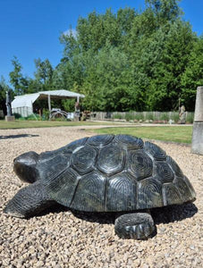 tuinbeeld schildpad, reuzeschildpad, stenen beeld, blikvanger tuin, uniek beeld, comfort andrea