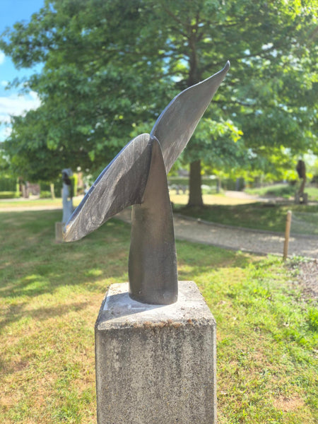 Whale tail