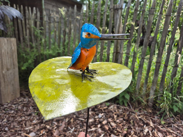 kleurrijke ijsvogels