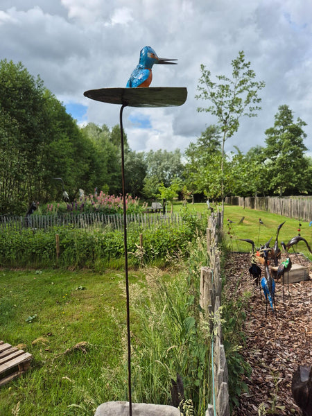 Ijsvogel op blad, tuinprikker