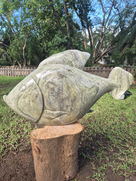 vis in steen, butterjade, unieke steensoort, wereldbeeld beeldentuin in hamme belgie, tuinbeelden en beelden voor binnen decoratie, ruime selectie