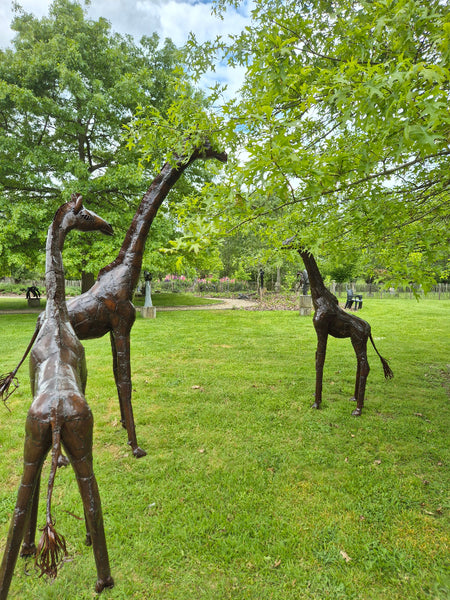 giraffen in metaal, tuinbeeld, recyclage van olievaten, handgemaakt in Zimbabwe
