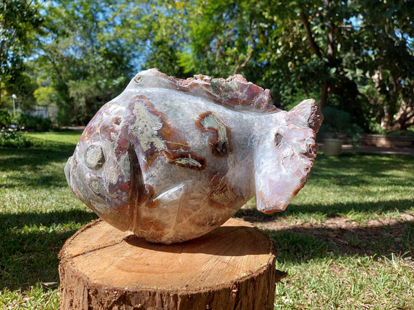 Fish in agate stone