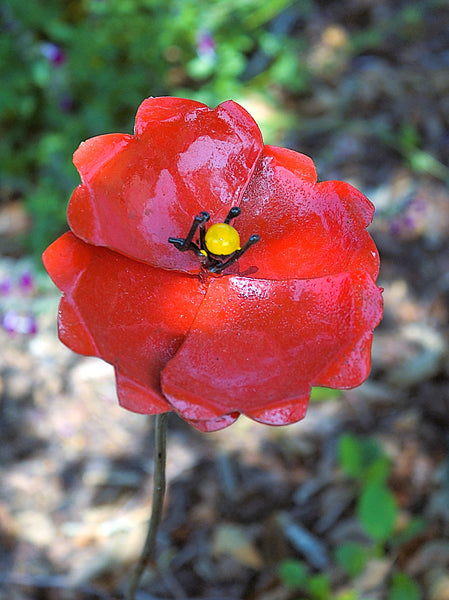papaver, rode klaproos, in metaal, gerecycleerd metaal, fair trade Zimbabwe, wereldbeeld beeldentuin