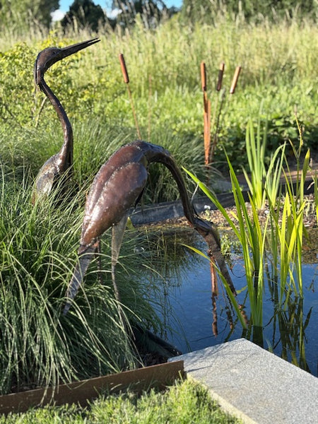 sfeerfoto koppel reigers aan vijver