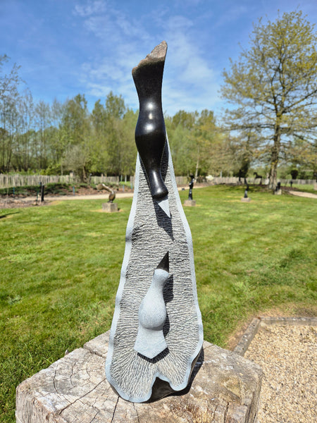 stenen vogels op muur van steen, beeldentuin wereldbeeld, driegoten hamme