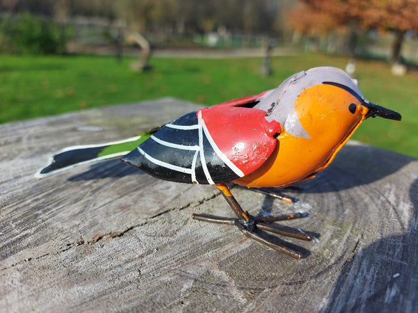 oranje vink, finch, vogeltjee in metaal, birds of Zimbabwe,, metal bird figurine, handcrafted in Zimbabwe, painted bird, metal recycled, oilbarrels, fair trade, metal art, uniqe gift