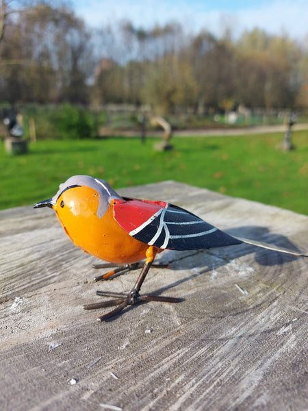 oranje vink, finch, vogeltjee in metaal, birds of Zimbabwe,, metal bird figurine, handcrafted in Zimbabwe, painted bird, metal recycled, oilbarrels, fair trade, metal art, uniqe gift