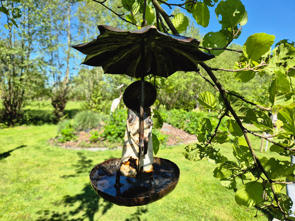bird feeder