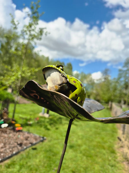 kikker op een lelieblad, gemaakt in metaal, unieke tuindecoratie