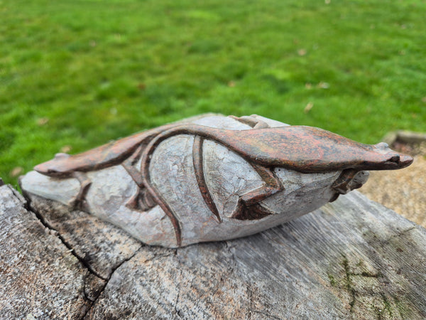 Salamanders op steen