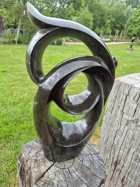 Life circles