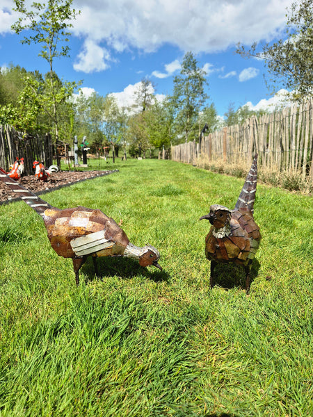 pheasant in metal gardens sculpture