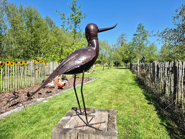 avocette in metal, bird sculpture for garden, wereldbeeld belgium